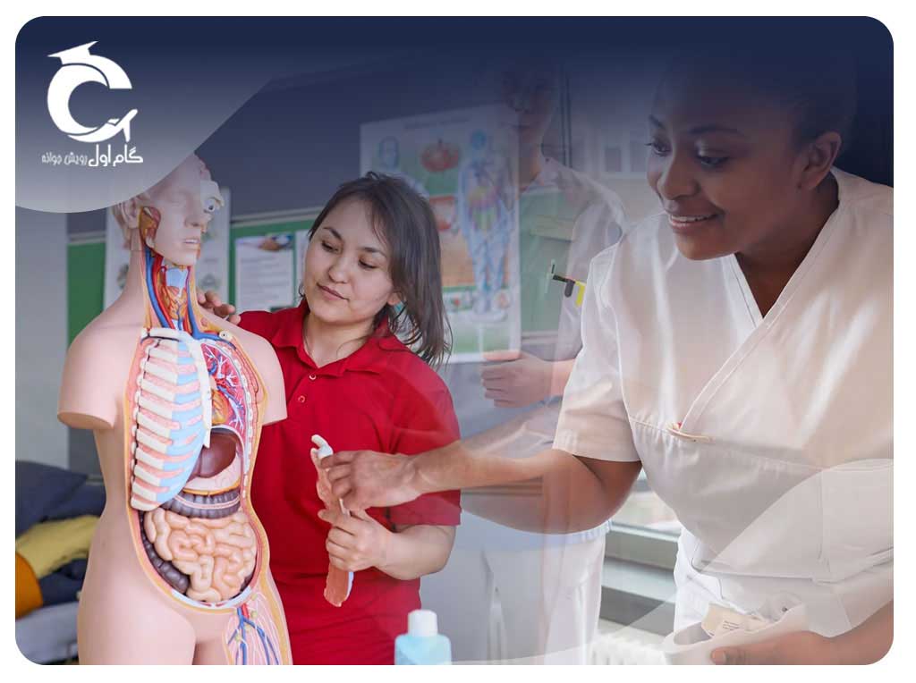 آوسبیلدونگ رشته پرستاری کشور آلمان ( ✔️ شرایط و هزینه ها )